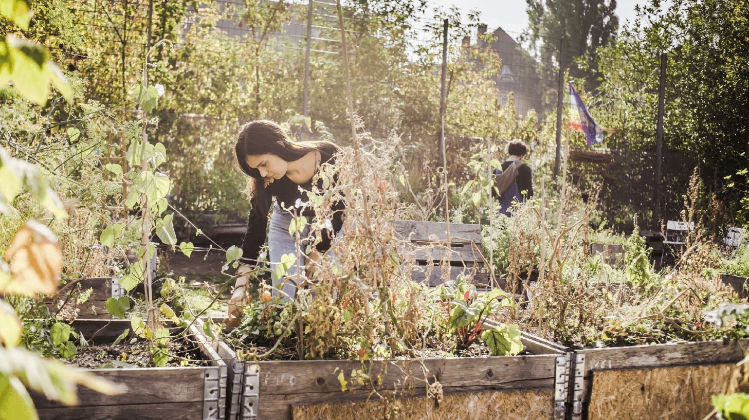 Eco Landscapes example 2