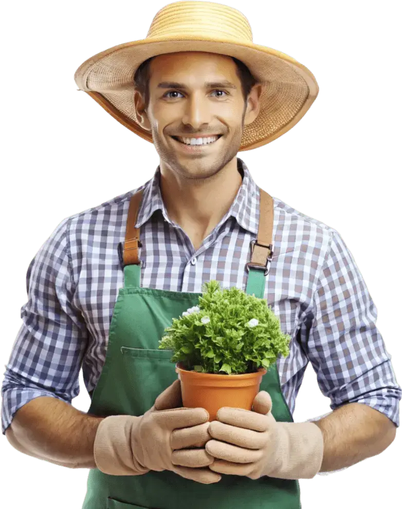 Gardener holding plant