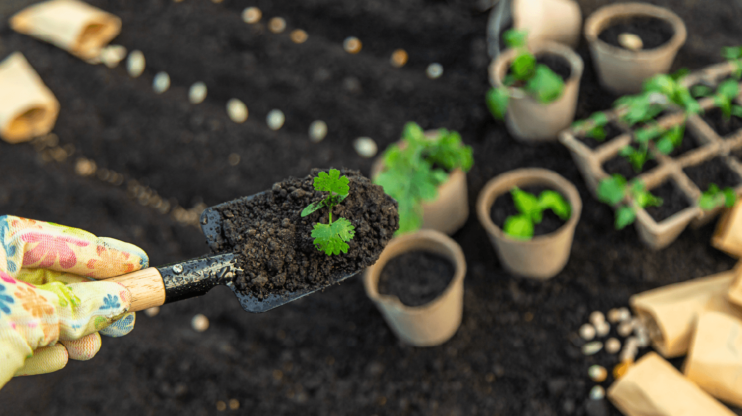 Permaculture Systems example 1